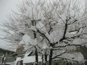 記録的な大雪